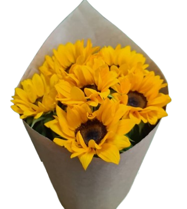 Bouquet Girassol Compacto 6 un.